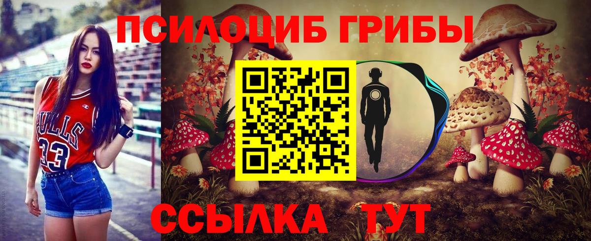 Псилоцибиновые грибы GOLDEN TEACHER Златоуст