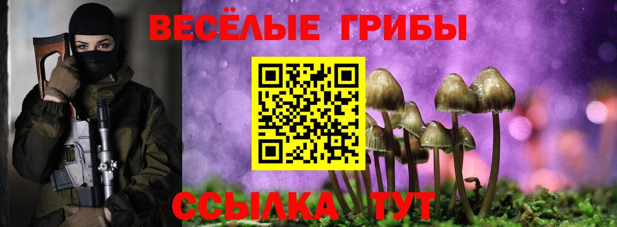 Златоуст  Псилоцибиновые грибы Psilocybine cubensis  Галлюциногенные грибы MAGIC MUSHROOMS  Вход с VPN 